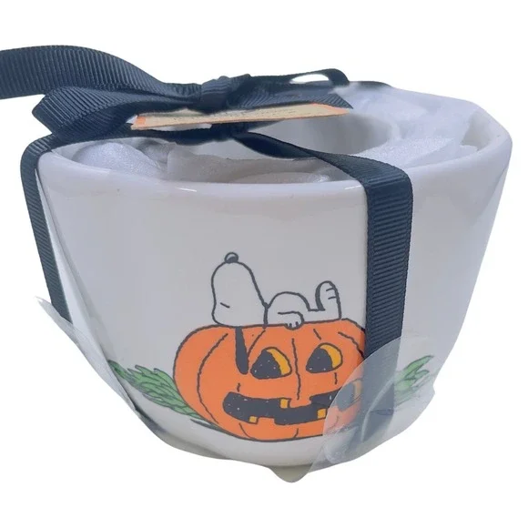 NEW Rae Dunn x Peanuts Halloween Measuring Cup - Set Of Four - Snoopy In Costume - Picture 4 of 12